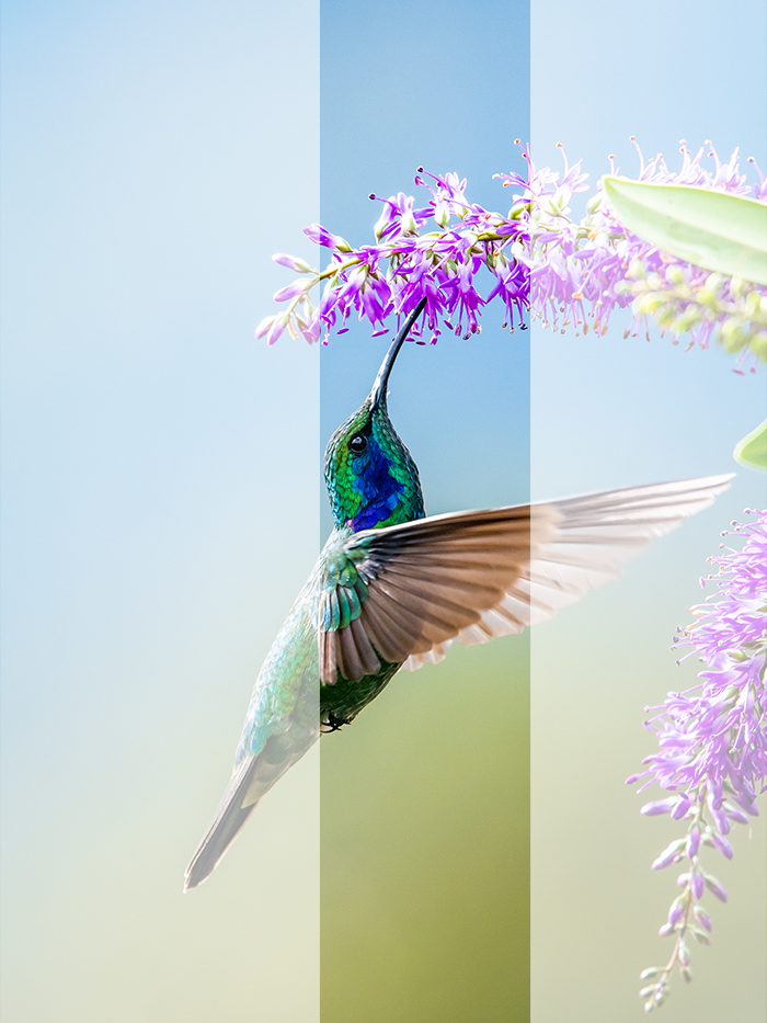Shutterstock_1675809871_V2